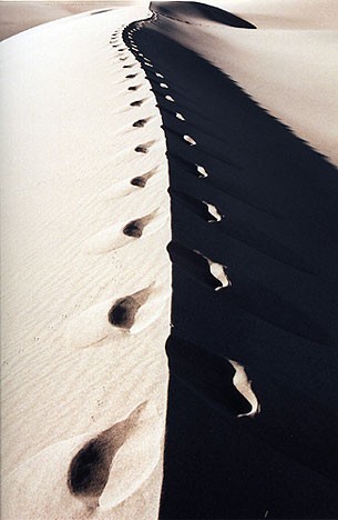 Photo:  Grand Sand Dunes National Park, Colorado 